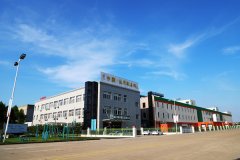 合加强小镇制血功能